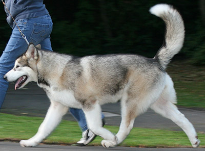 Manya on the move
