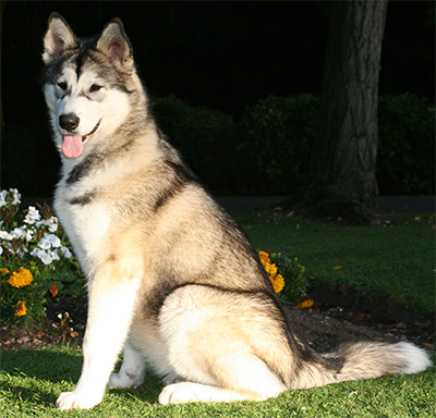 Manya sitting pretty