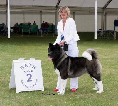 Seth winning Group 2 at Bath Champ Show!